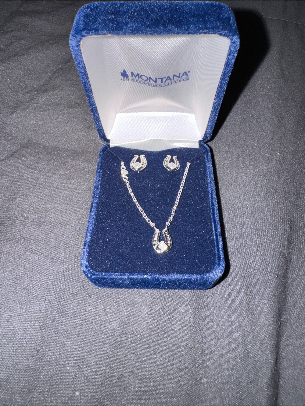Montana Silversmiths Silver Horseshoe Necklace and Earring Set - Silver
